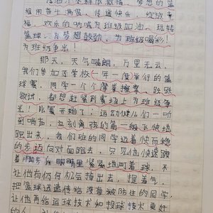 青少年篮球训练精要读后感悟50字左右